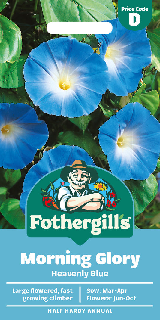 Mr Fothergill's Morning Glory Heavenly Blue Seeds Packet