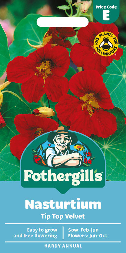 Mr Fothergill's Nasturtium Tip Top Velvet Seeds Packet