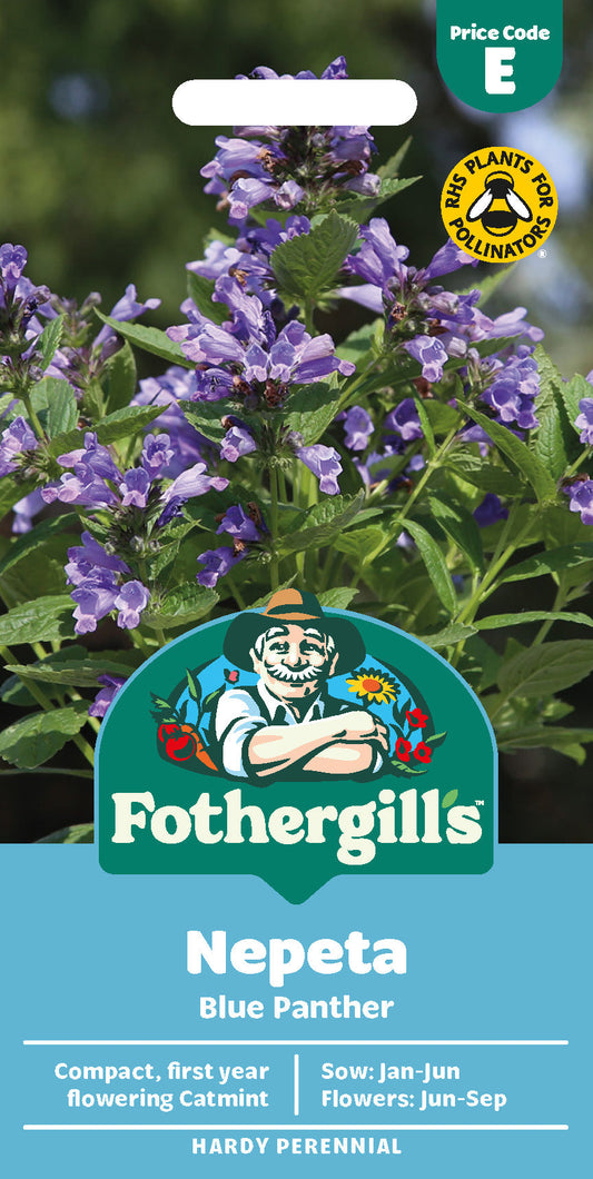 Mr Fothergill's Nepeta Blue Panther Seeds Packet