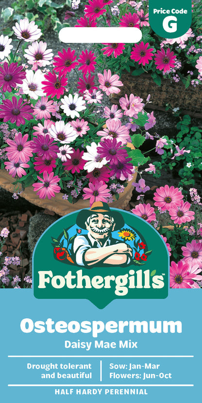 Mr Fothergill's Osteospermum Daisy Mae Mix Seeds Packet