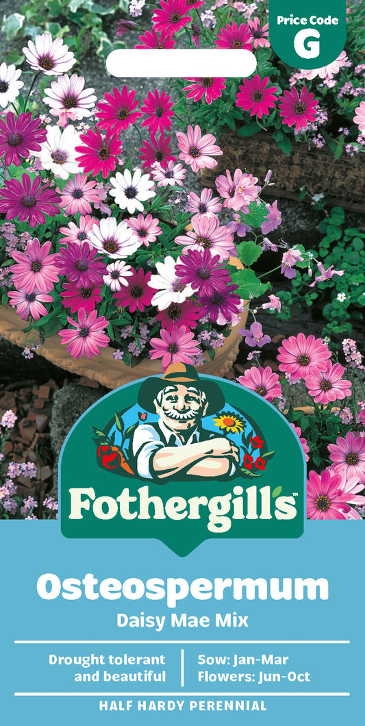 Mr Fothergill's Osteospermum Daisy Mae Mix Seeds Packet