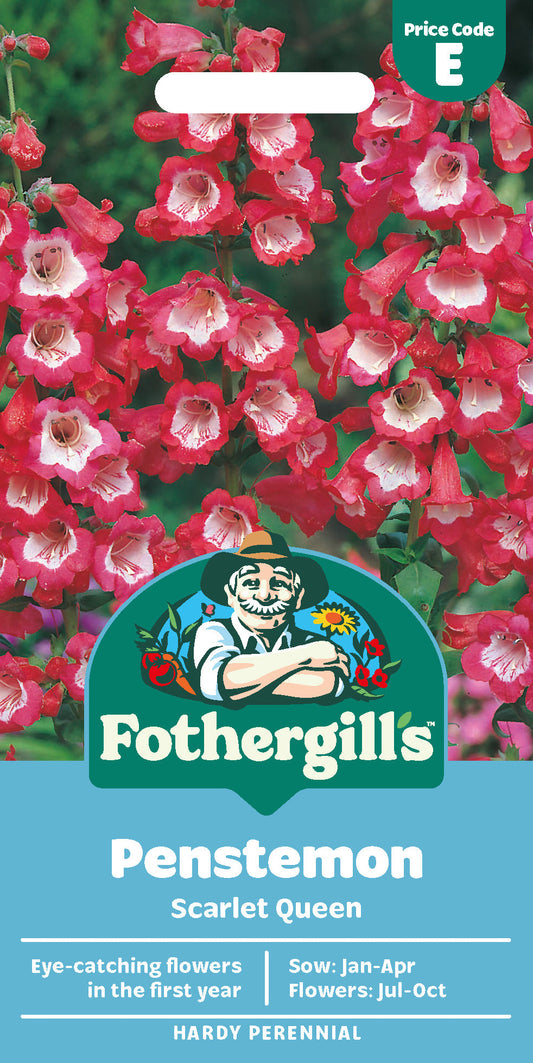 Mr Fothergill's Penstemon Scarlet Queen Seeds Packet