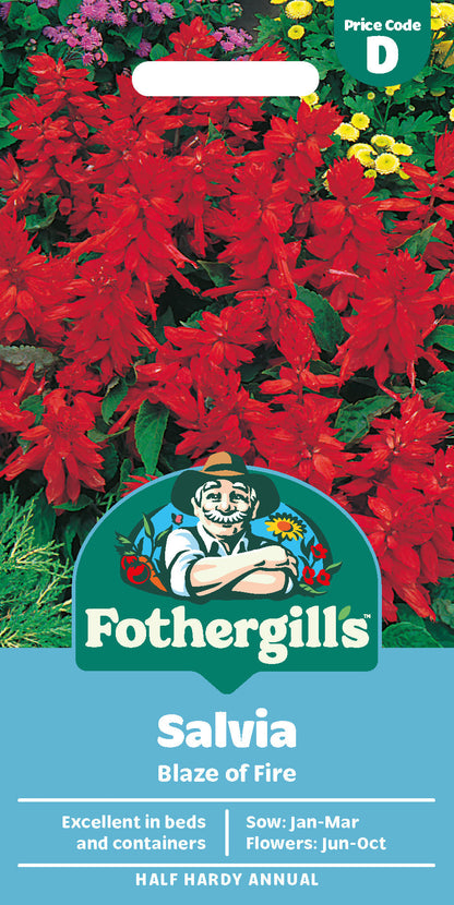 Mr Fothergill's Salvia Blaze Of Fire Seeds Packet