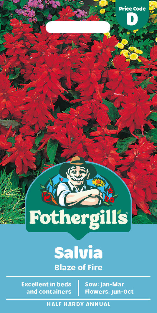 Mr Fothergill's Salvia Blaze Of Fire Seeds Packet