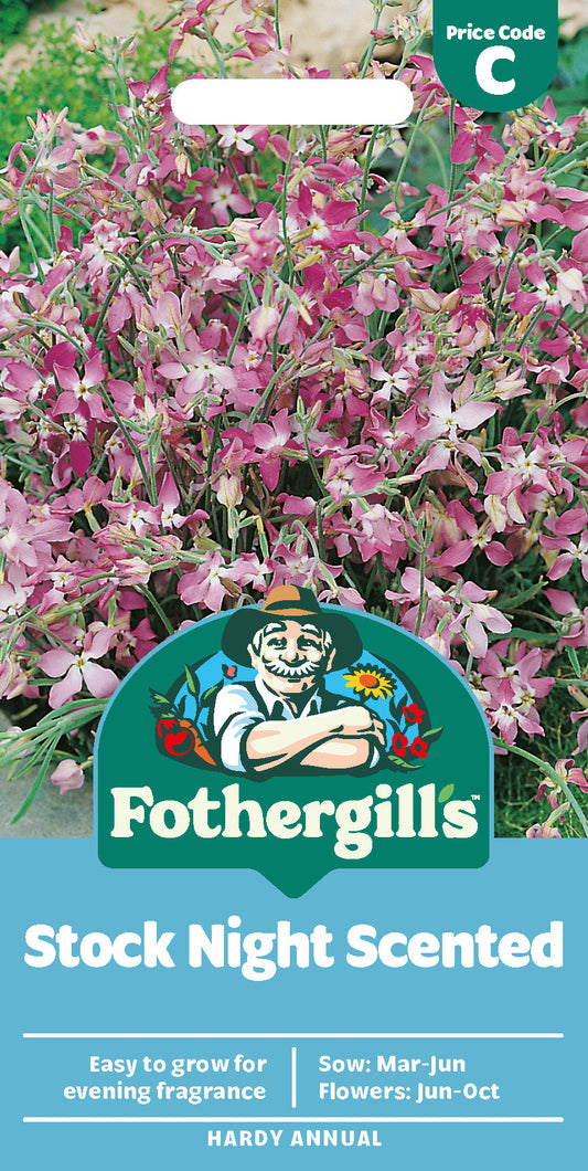 Mr Fothergill's Stock Night Scented Seeds Packet
