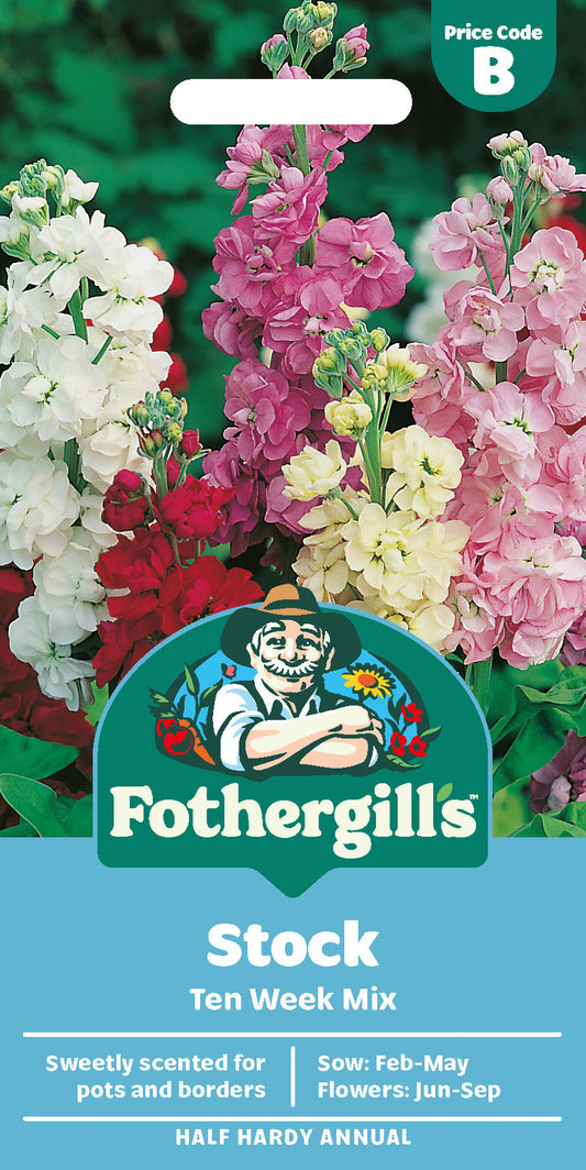 Mr Fothergill's Stock Ten Week Mix Seeds Packet