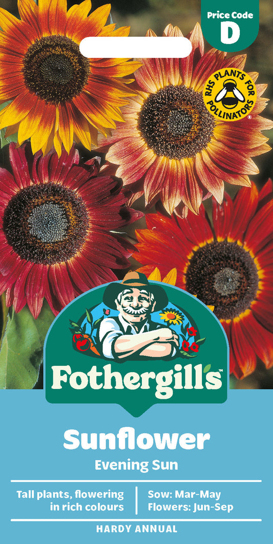 Mr Fothergill's Sunflower Evening Sun Seeds Packet