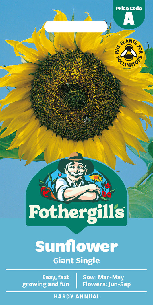 Mr Fothergill's Sunflower Giant Single Seeds Packet