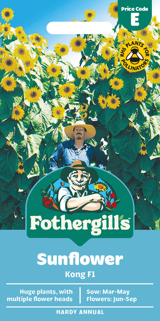 Mr Fothergill's Sunflower Kong F1 Seeds Packet