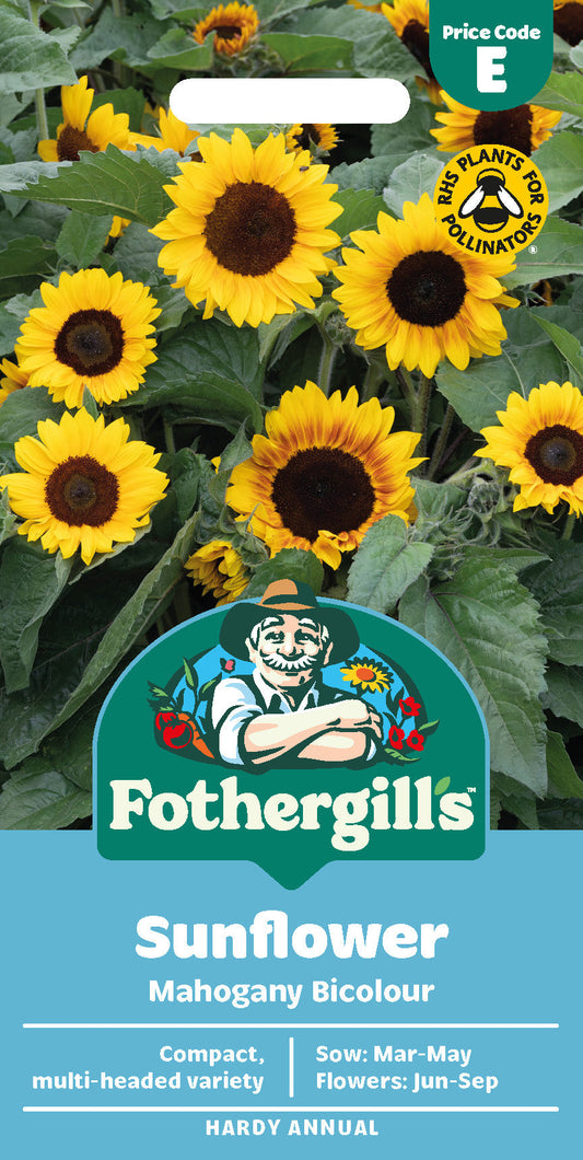Mr Fothergill's Sunflower Mahogany Bicolour Seeds Packet