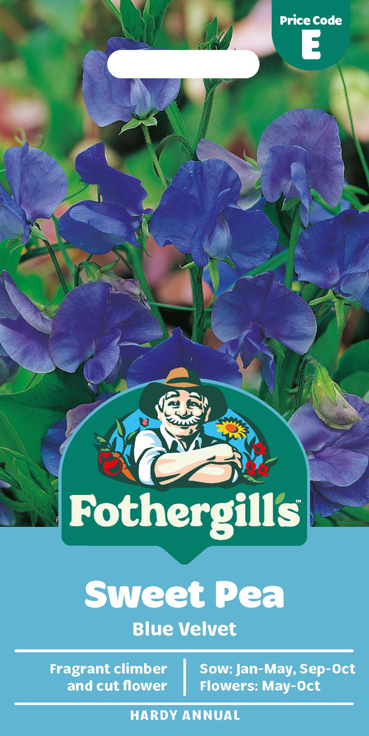 Mr Fothergill's Sweet Pea Blue Velvet Seeds Packet