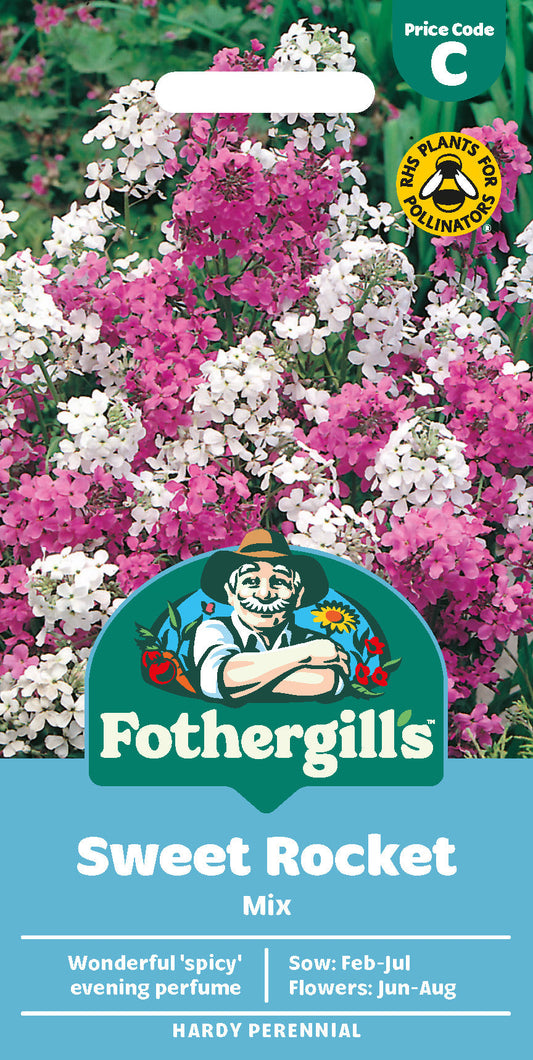 Mr Fothergill's Sweet Rocket Mix Seeds Packet