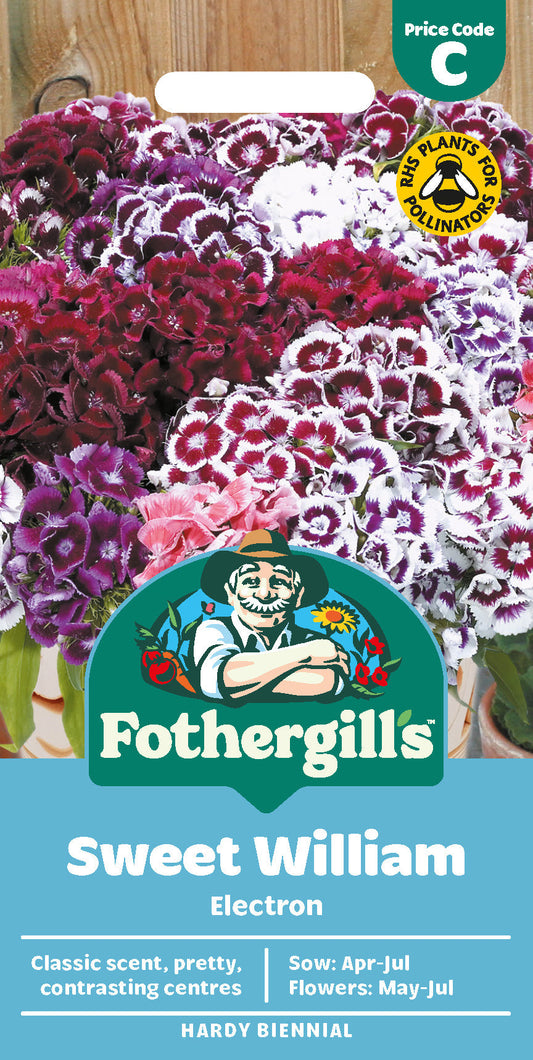 Mr Fothergill's Sweet William Electron Seeds Packet