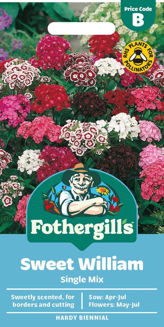 Mr Fothergill's Sweet William Single Mix Seeds Packet