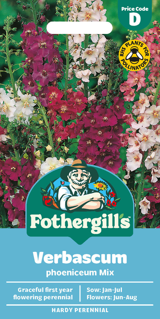Mr Fothergill's Verbascum Phoeniceum Mix Seeds Packet