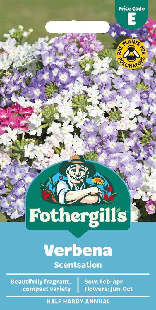 Mr Fothergill's Verbena Scentsation Seeds Packet