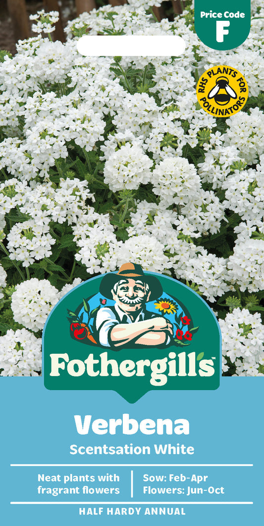 Mr Fothergill's Verbena Scentsation White Seeds Packet