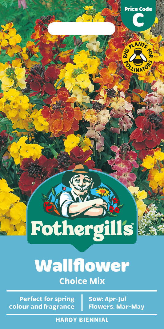 Mr Fothergill's Wallflower Choice Mix Seeds Packet