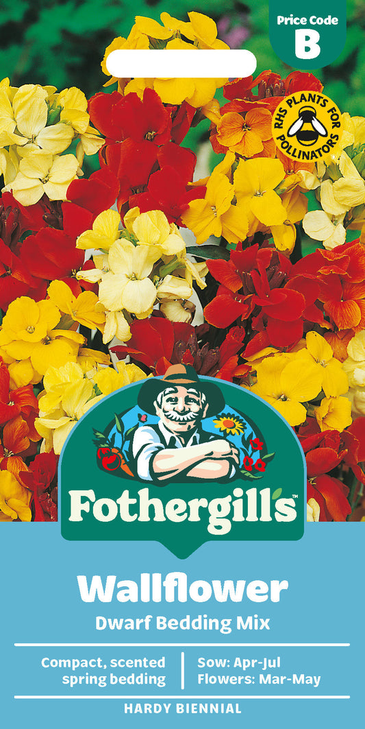 Mr Fothergill's Wallflower Dwarf Bedding Mix Seeds Packet