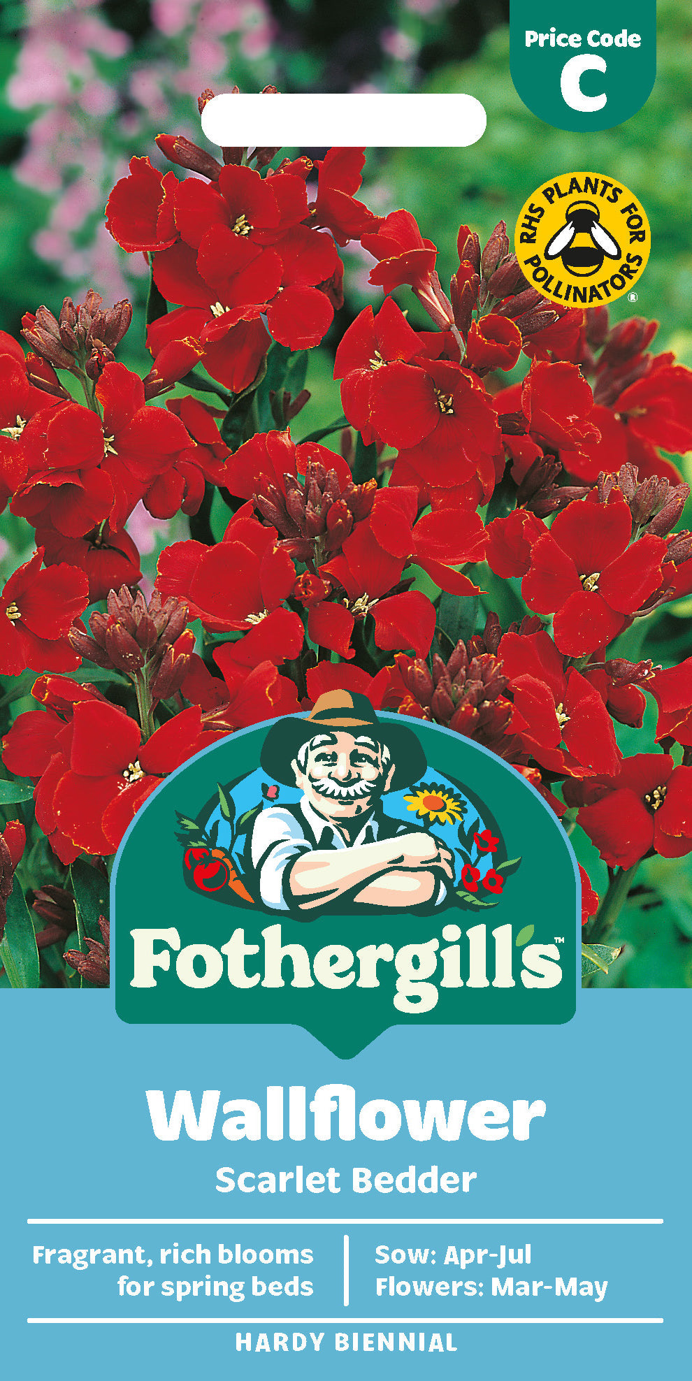 Mr Fothergill's Wallflower Scarlet Bedder Seeds Packet