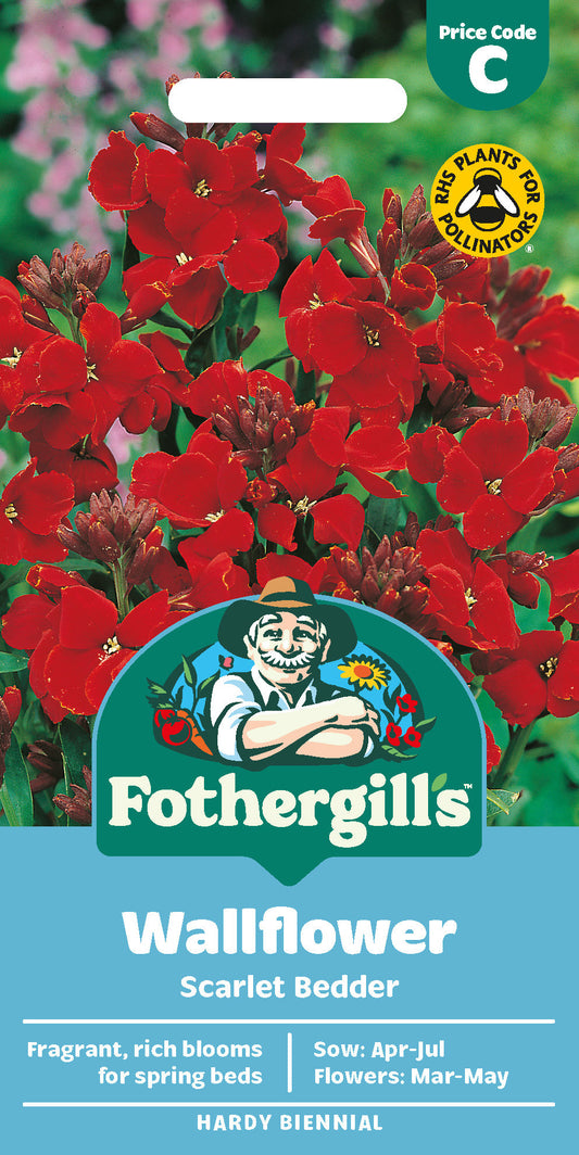 Mr Fothergill's Wallflower Scarlet Bedder Seeds Packet