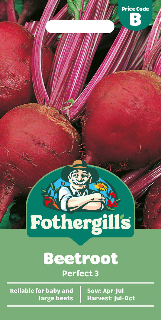 Mr Fothergill's Beetroot Perfect 3 Seeds Packet