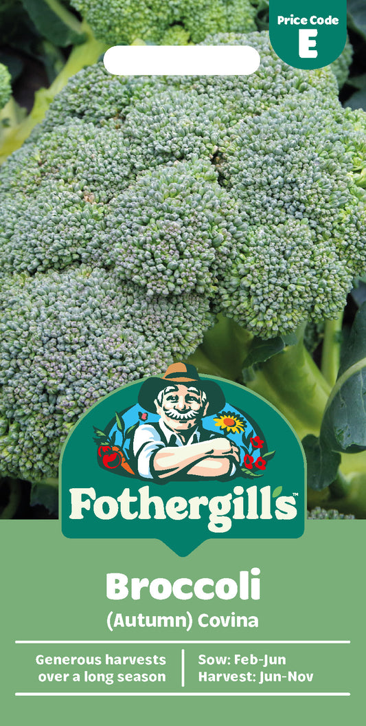 Mr Fothergill's Broccoli (Autumn) Covina Seeds