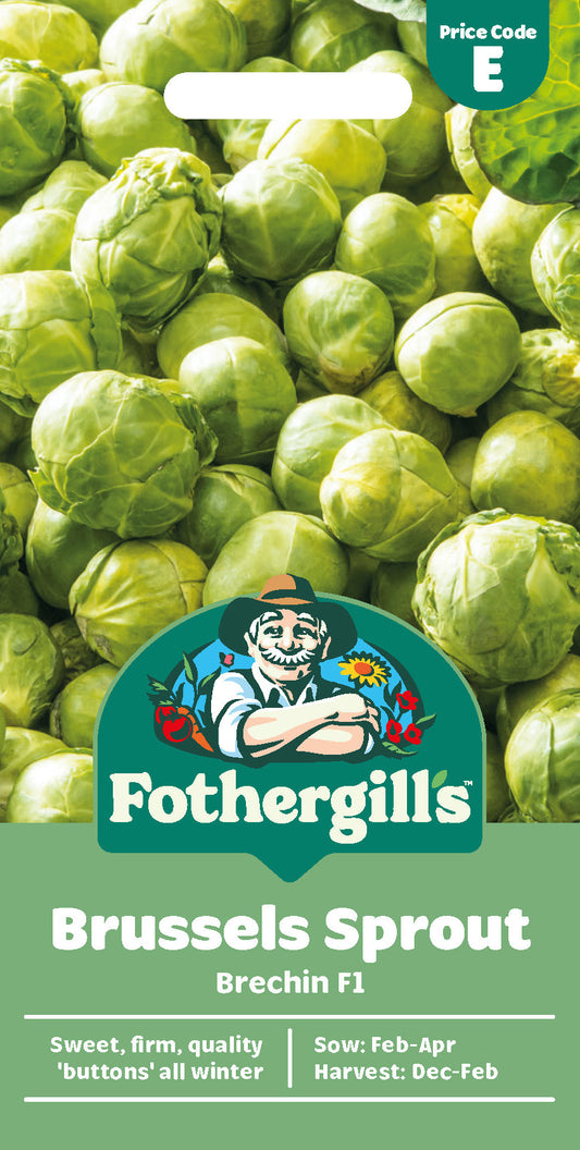 Mr Fothergill's Brussels Sprout Brechin F1 Seeds Packet