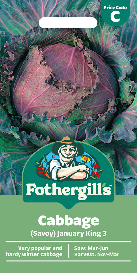 Mr Fothergill's Cabbage (Savoy) January King 3 Seeds Packet