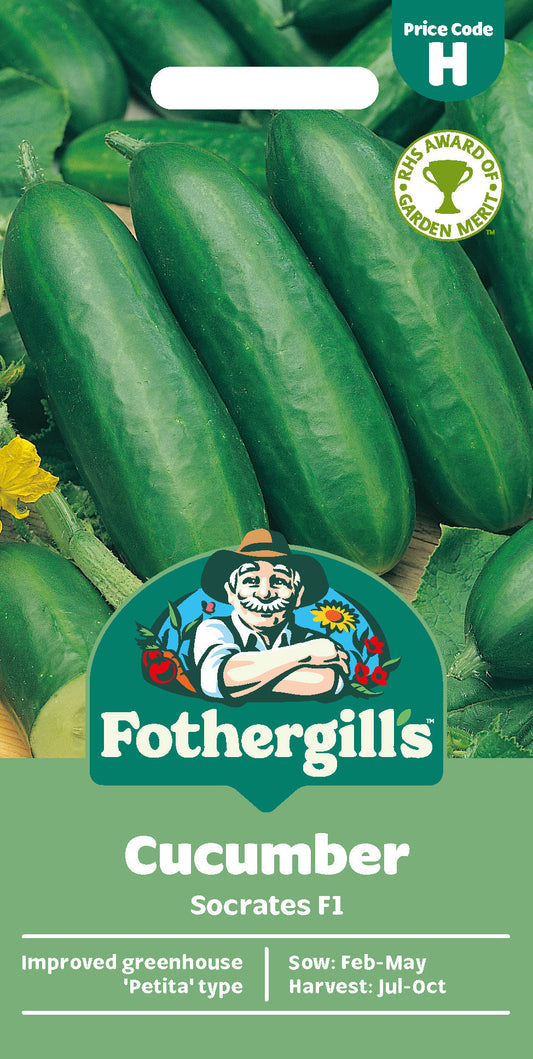 Mr Fothergill's Cucumber Socrates F1 Seeds Packet