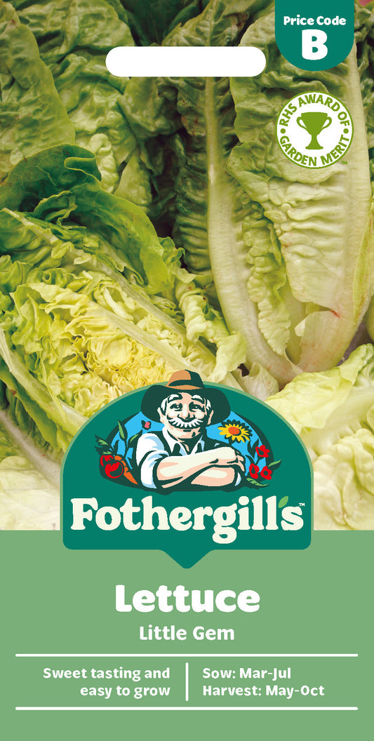 Mr Fothergill's Lettuce Little Gem Seeds Packet