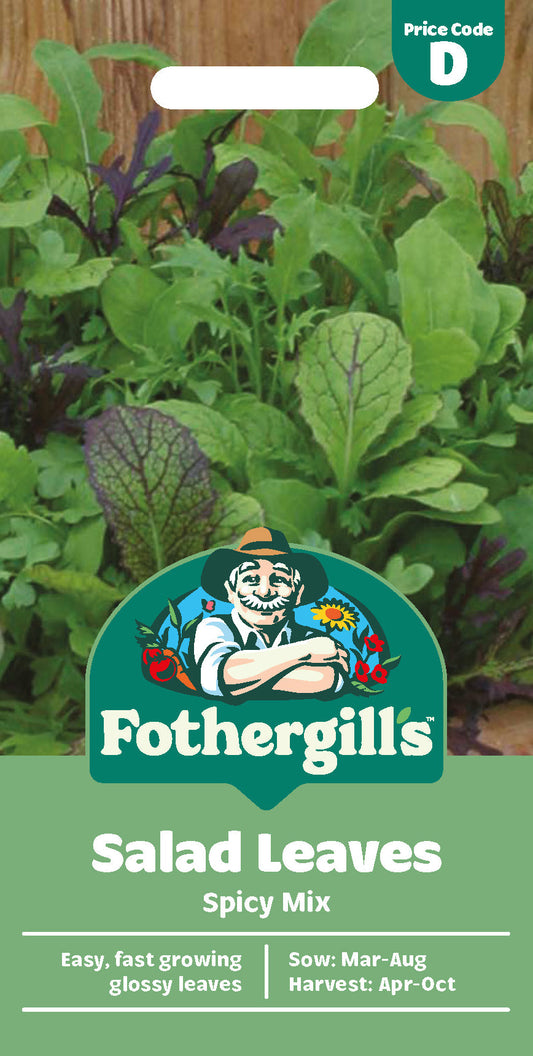 Mr Fothergill's Salad Leaves Spicy Mix Seeds Packet