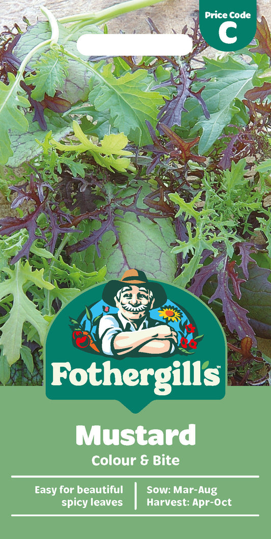 Mr Fothergill's Mustard Colour & Bite Seeds Packet