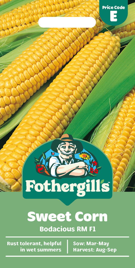 Mr Fothergill's Sweet Corn Bodacious Rm F1 Seeds Packet