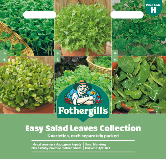 Mr Fothergill's Easy Salad Leaves Seeds Packet