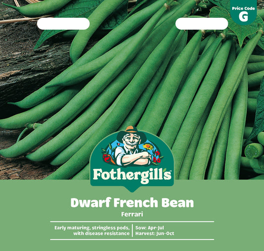 Mr Fothergill's Dwarf French Bean Ferrari Seeds Packet