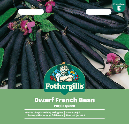 Mr Fothergill's Dwarf French Bean Purple Queen Seeds Packet