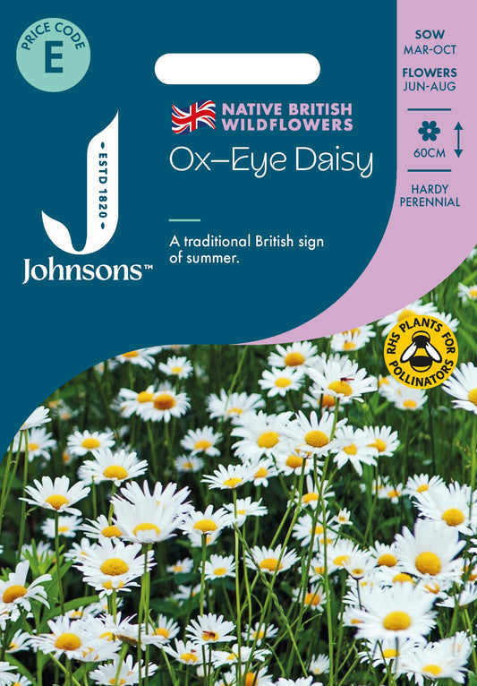 Johnsons Ox-Eye Daisy Seeds Packet