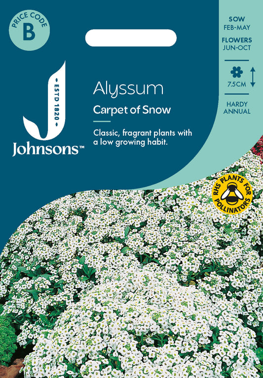Johnsons Alyssum Carpet Of Snow Seeds Packet