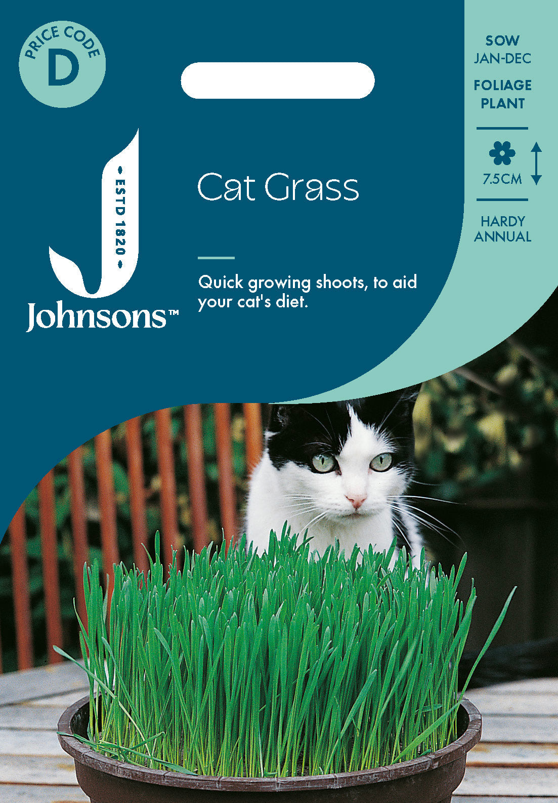 Johnsons Cat Grass - Avena Sativa Seeds Packet