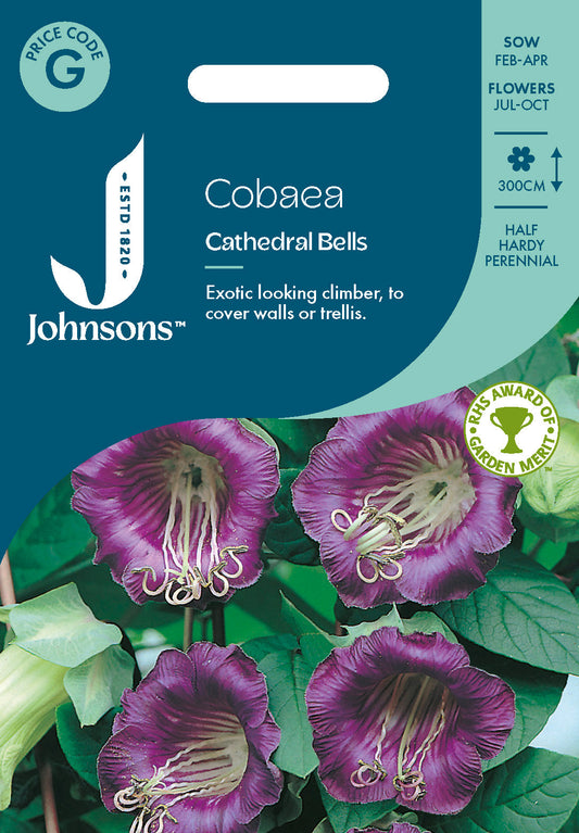 Johnsons Cobaea Cathedral Bells Seeds Packet