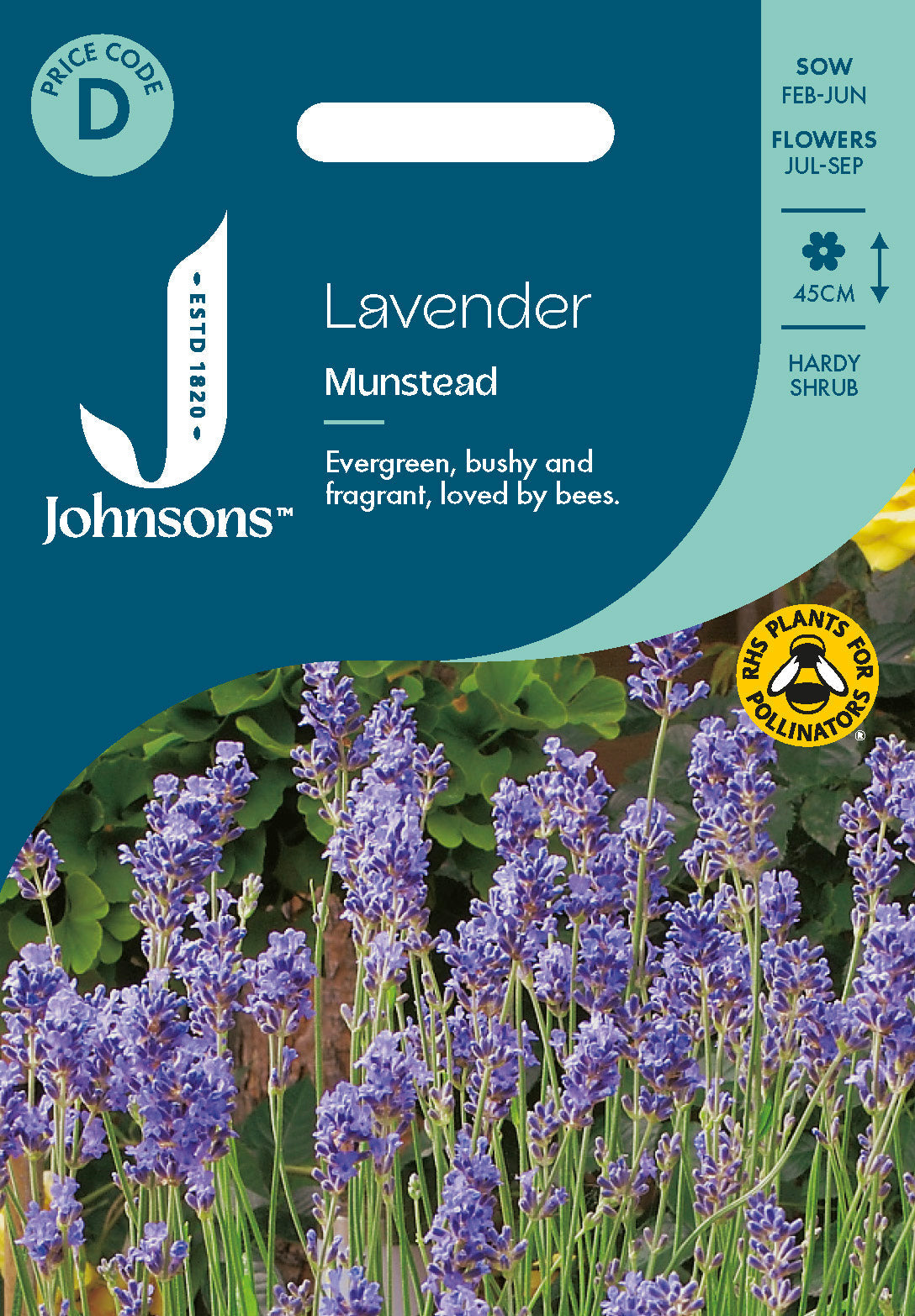 Johnsons Lavender Munstead Seeds Packet