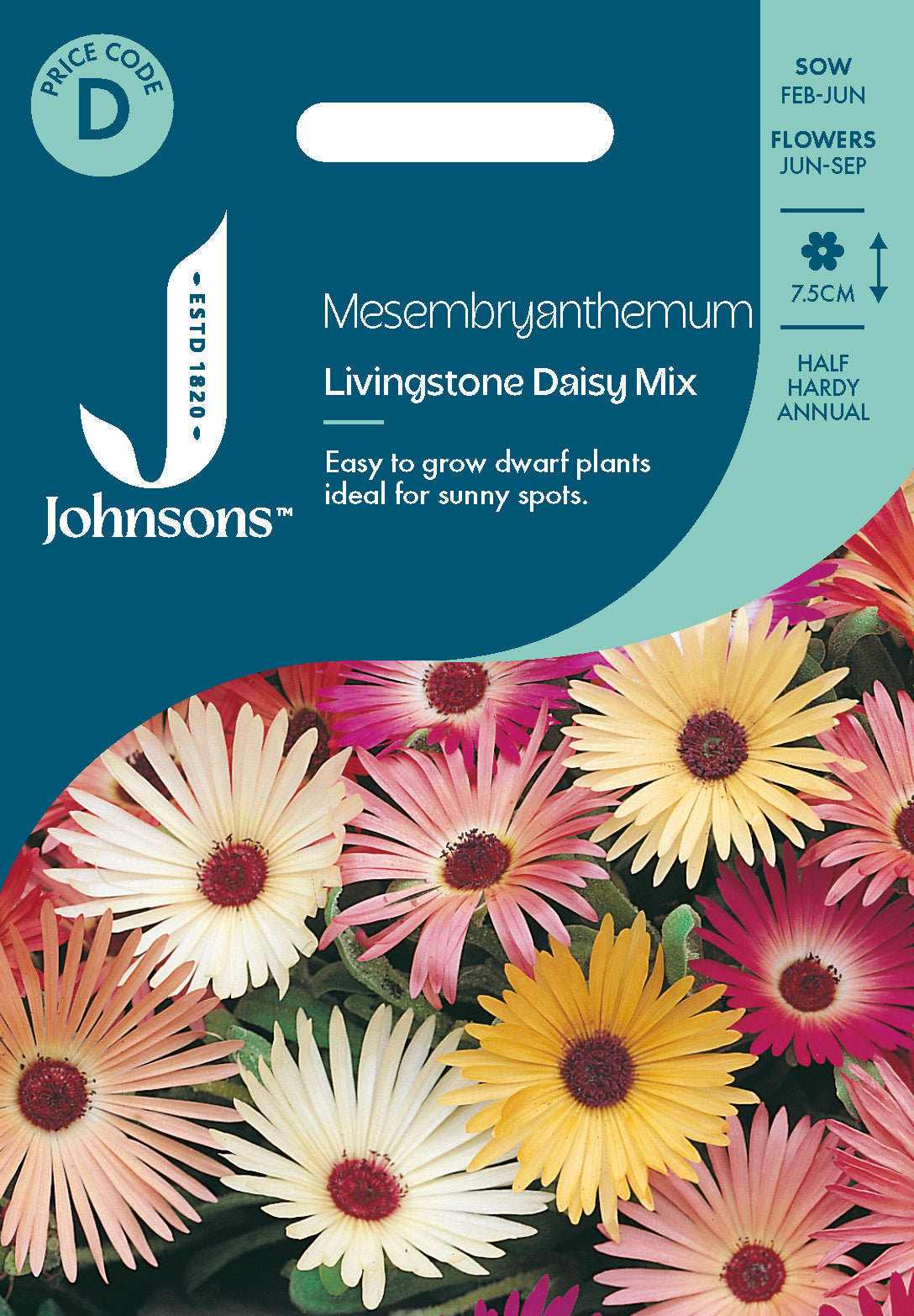 Johnsons Mesembryanthemum Livingstone Daisy Mix Seeds Packet