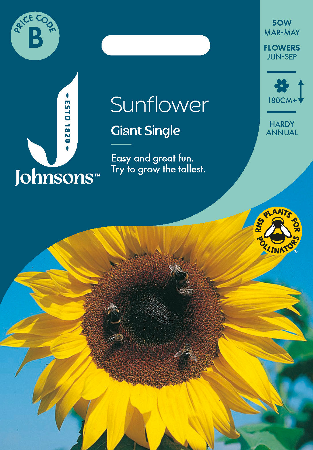 Johnsons Sunflower Giant Single Seeds Packet