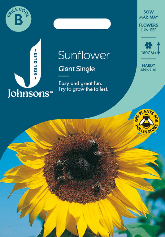 Johnsons Sunflower Giant Single Seeds Packet
