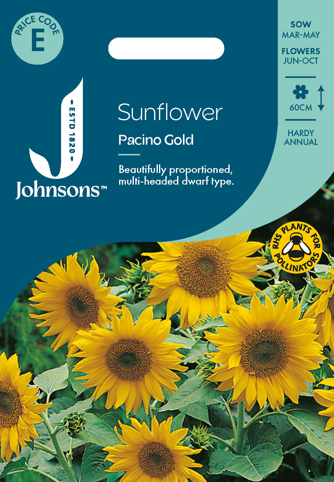 Johnsons Sunflower Pacino Gold Seeds Packet