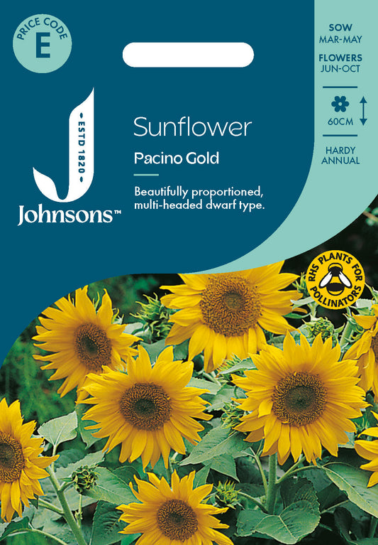 Johnsons Sunflower Pacino Gold Seeds Packet