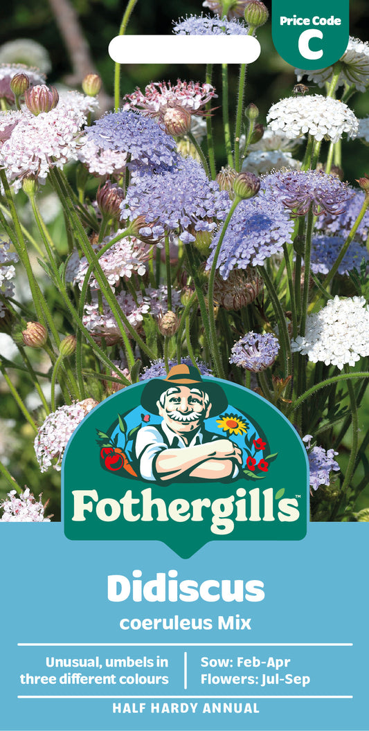 Mr Fothergill's Didiscus Coeruleus Mix Seeds Packet