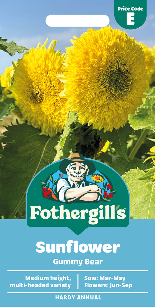 Mr Fothergill's Sunflower Gummy Bear Seeds Packet