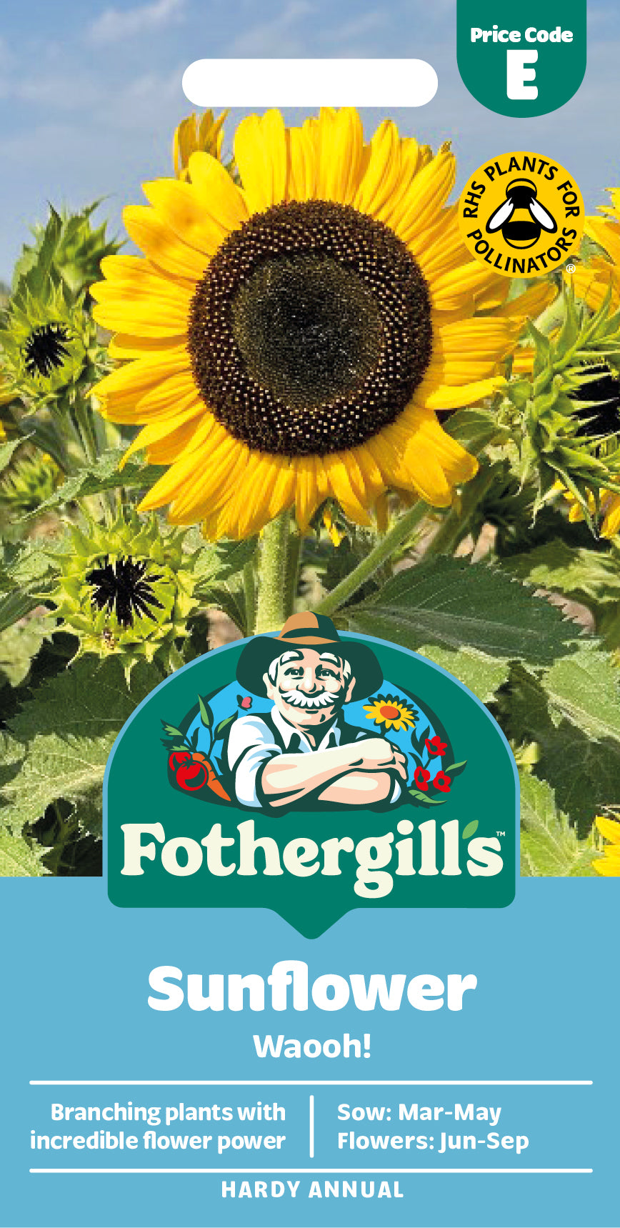 Mr Fothergill's Sunflower Waooh! Seeds